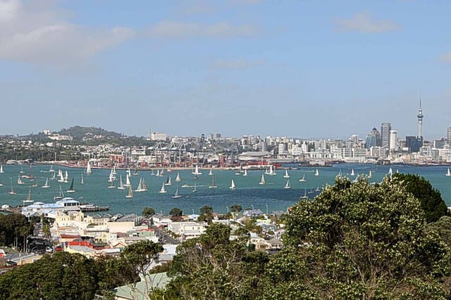 Sails pitch: yachts in Waitemata Harbour