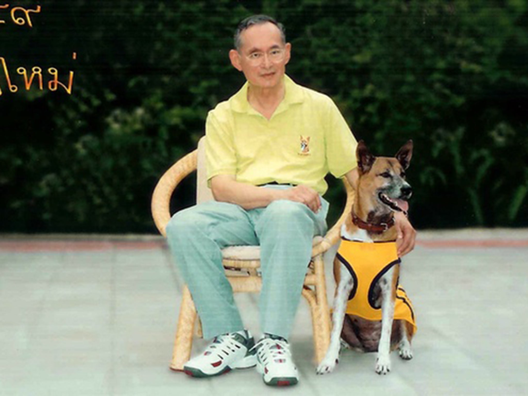 Tongdaeng the dog became a household name in Thailand after King Bhumiboil Adulyadei penned a heartfelt book about her in 2002