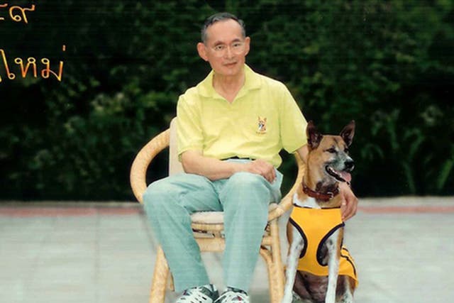 Tongdaeng the dog  became a household name in Thailand after King Bhumiboil Adulyadei penned a heartfelt book about her in 2002