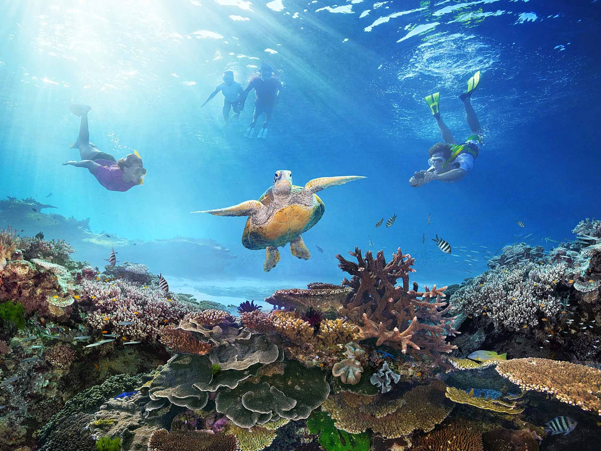 Australia Tourism Great Barrier Coral Reef Ocean Fishing Vintage