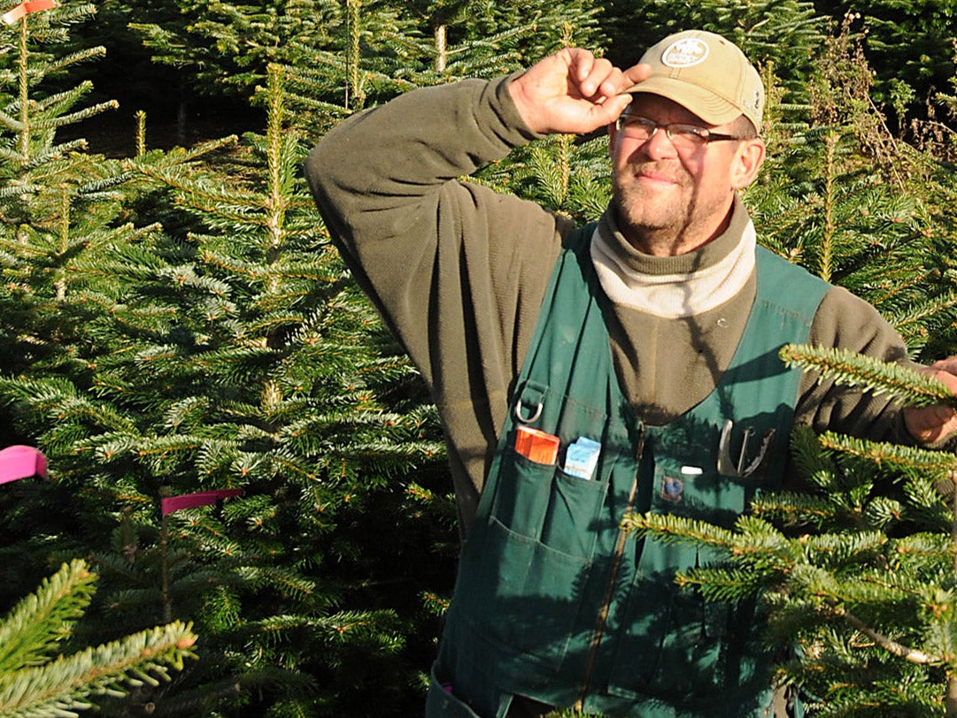 Christmas tree farmer Hans Alexandersen