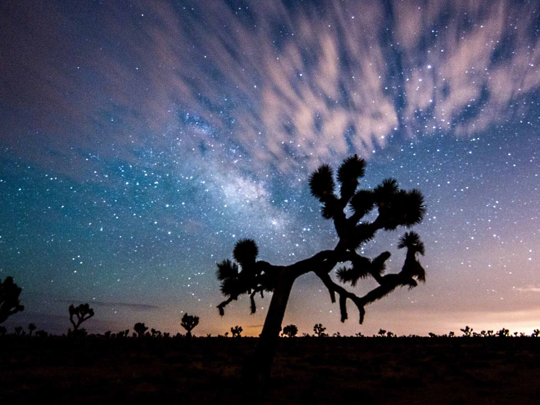 Joshua Tree National Park
