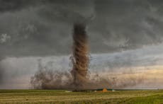 National Geographic Photo Contest 2015: Winners revealed from dust tornados and orangutans to colourful canyons