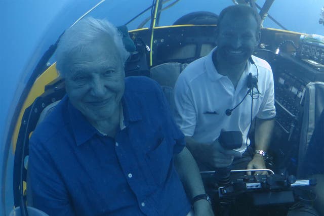 Making waves: David Attenborough with submersible pilot Buck Taylor in 'Great Barrier Reef'