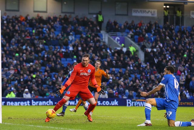 Brighton’s Connor Goldson (right) scores an own goal to earn Wolves three points yesterday