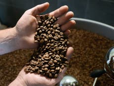 Coffee getting cheaper as increased yields create global surplus