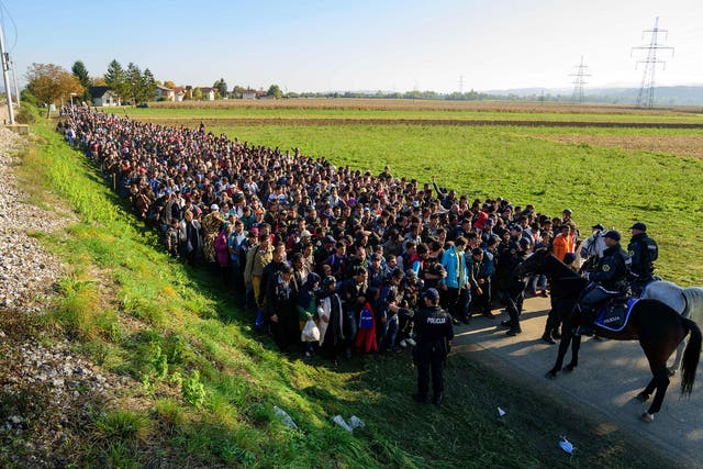 Refugees cross from Croatia to be escorted by Slovenian border police