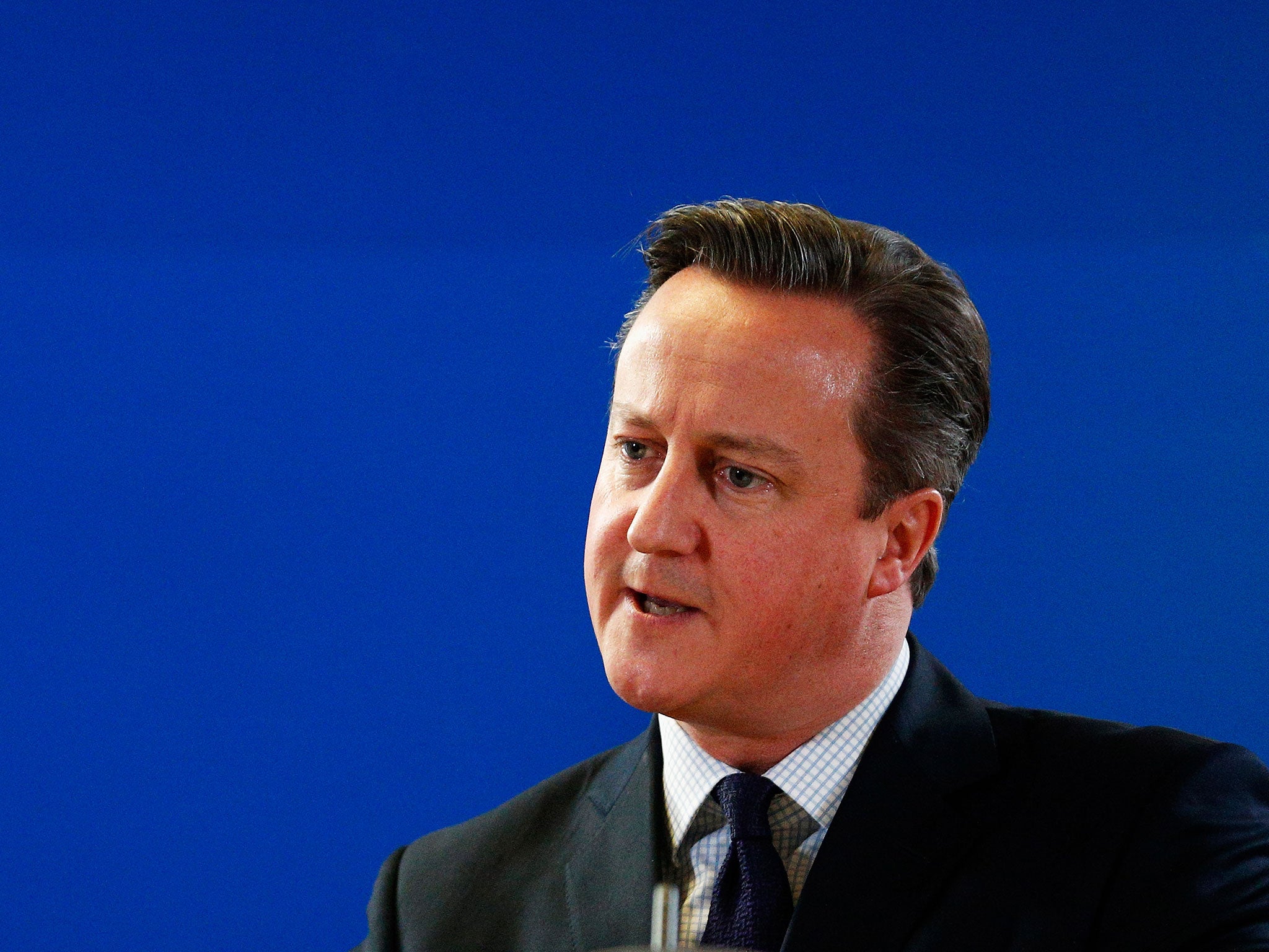 Support for EU membership relied on David Cameron’s negotiating