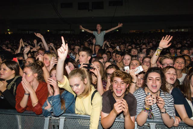 Crowds at a gig
