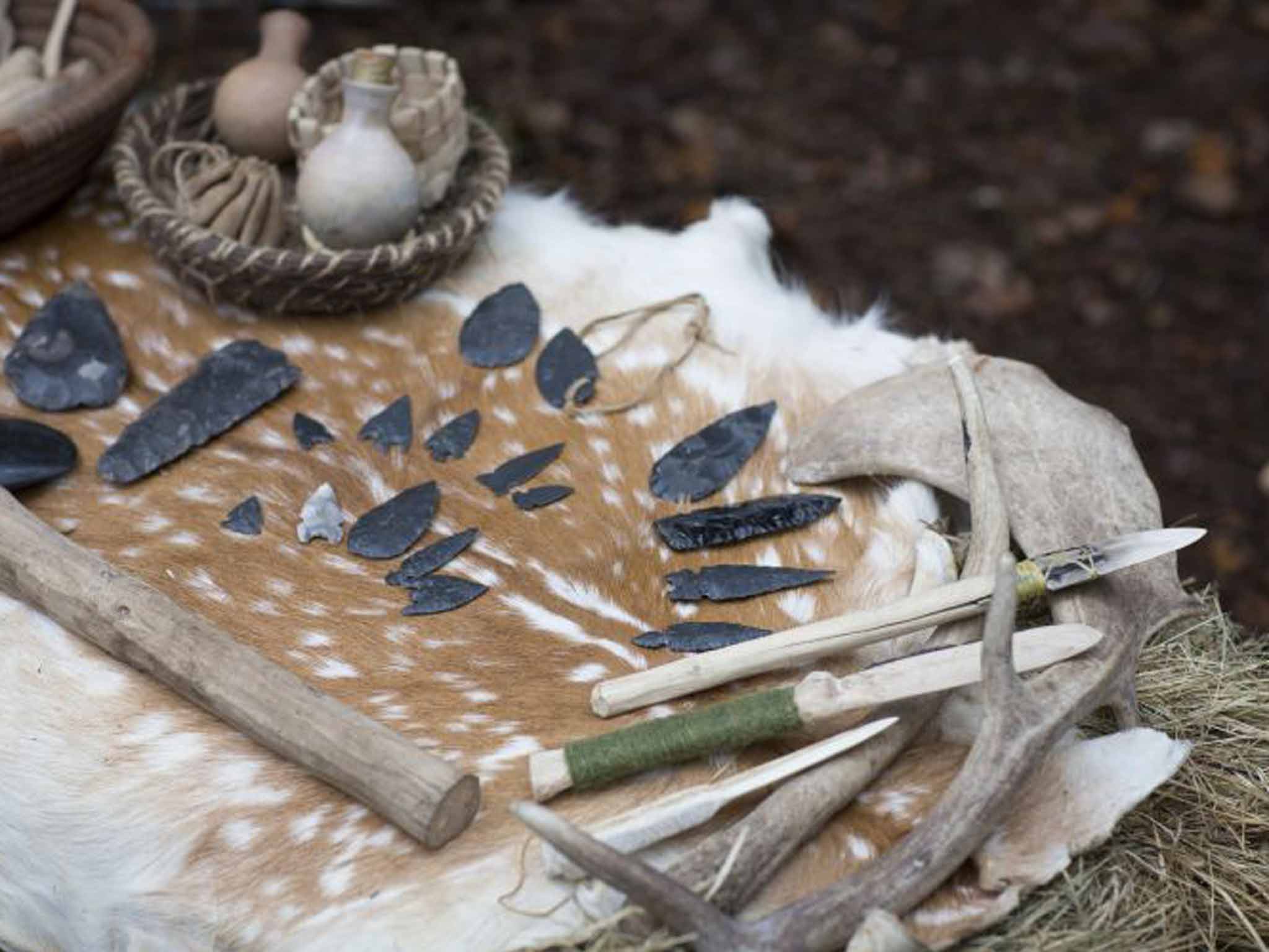 Cut and thrust: Stone Age tools and flint blades arranged on an animal pelt
