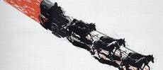 The Hateful Eight latest film to prove the neo-western is here to stay