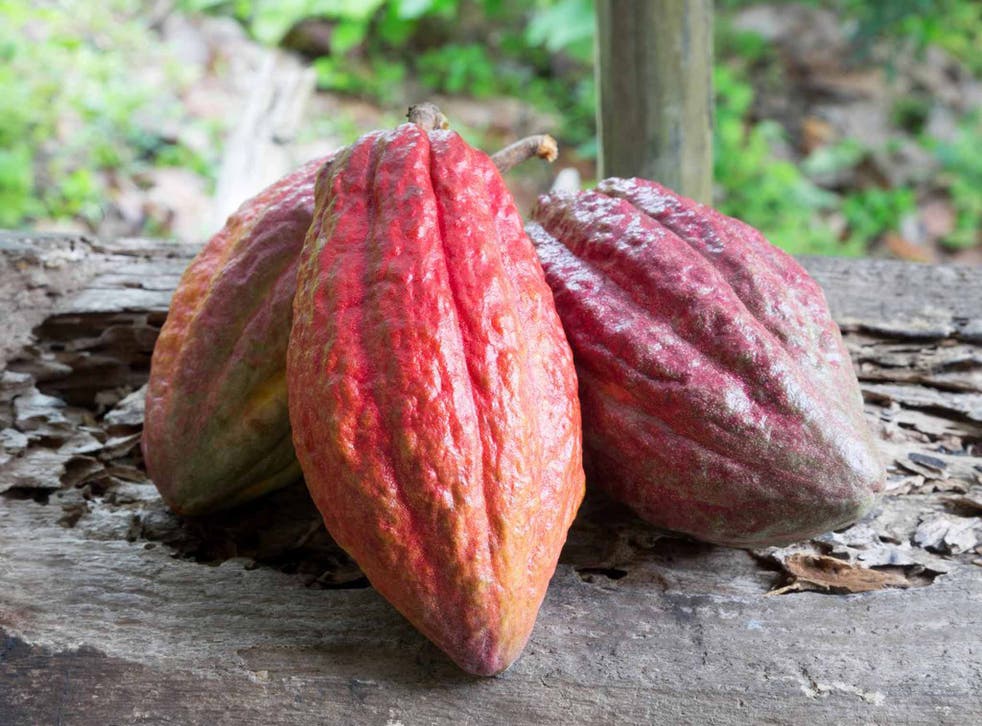 Cacao beans feature in the dessert ideas of health food bloggers