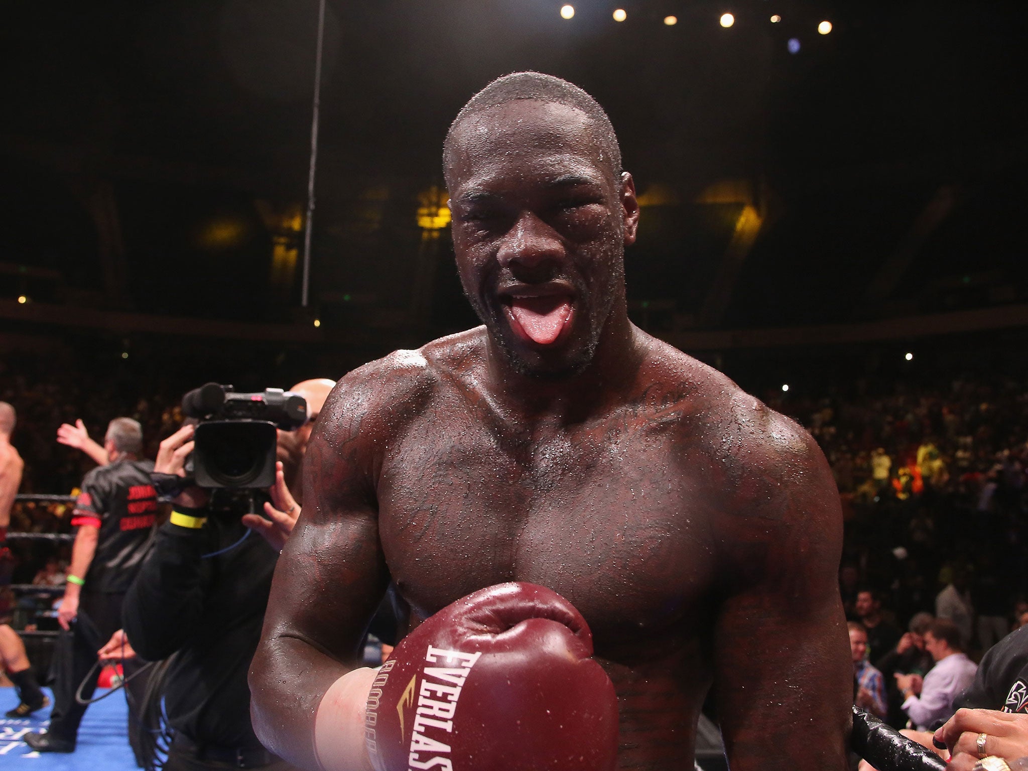 Deontay Wilder (left) fights on a double bill of world heavyweight title fights in New York a week on Saturday