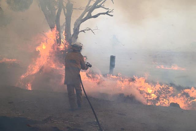 A firefighter works on putting out flames in Yarloop, Western Australia