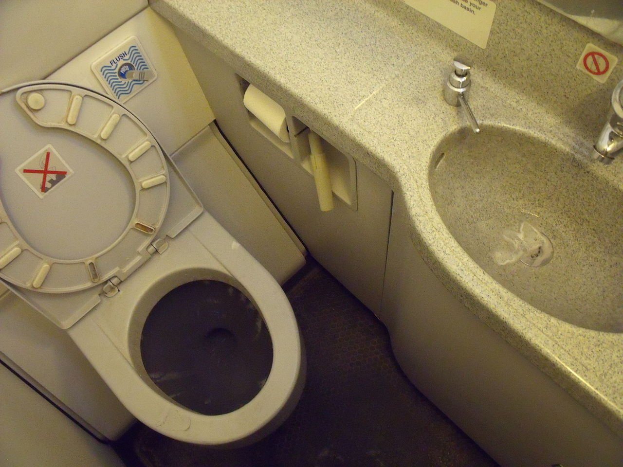 Experts think an aeroplane toilet may suffered a leak and allowed the human waste to escape and freeze as it fell to earth