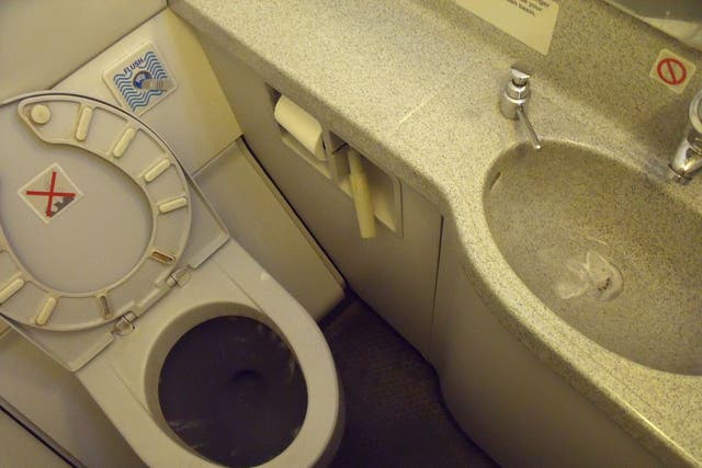 Experts think an aeroplane toilet may suffered a leak and allowed the human waste to escape and freeze as it fell to earth