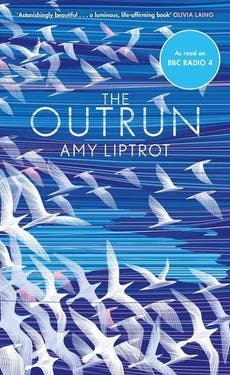 Amy Liptrot, The Outrun, book review