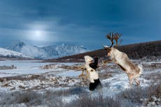 Read more

Mongolia's Dukha tribe, and the reindeer they can't live without