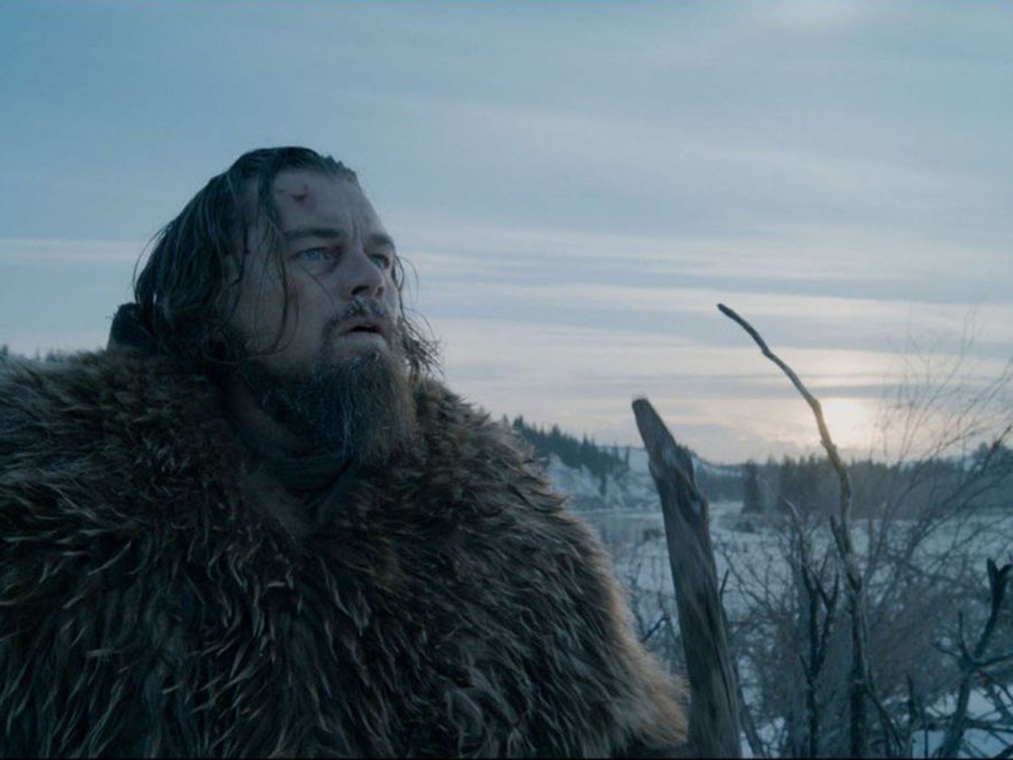Leonardo DiCaprio plays a 19th-century fur trapper in The Revenant