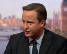 David Cameron insists 'this Tory is not a nanny'