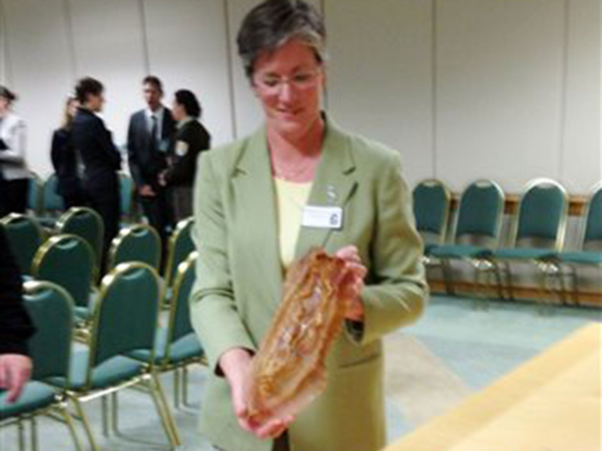 A scientist for the US Fish and Wildlife Service holding a dried totoaba fish bladder seized at the Mexican border