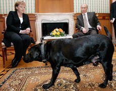 Putin says he didnt intend to scare dog-phobic Merkel with Labrador
