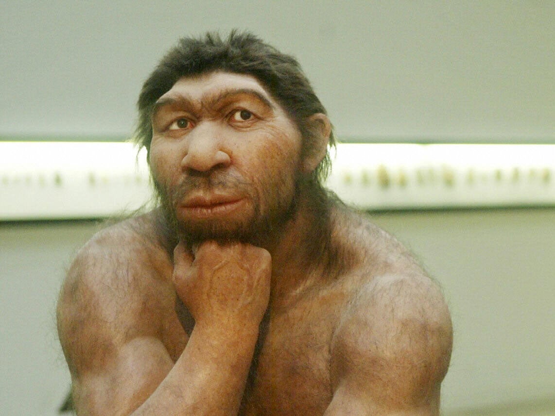 Sex with Neanderthals may be the cause of modern allergies, studies suggest  | The Independent | The Independent