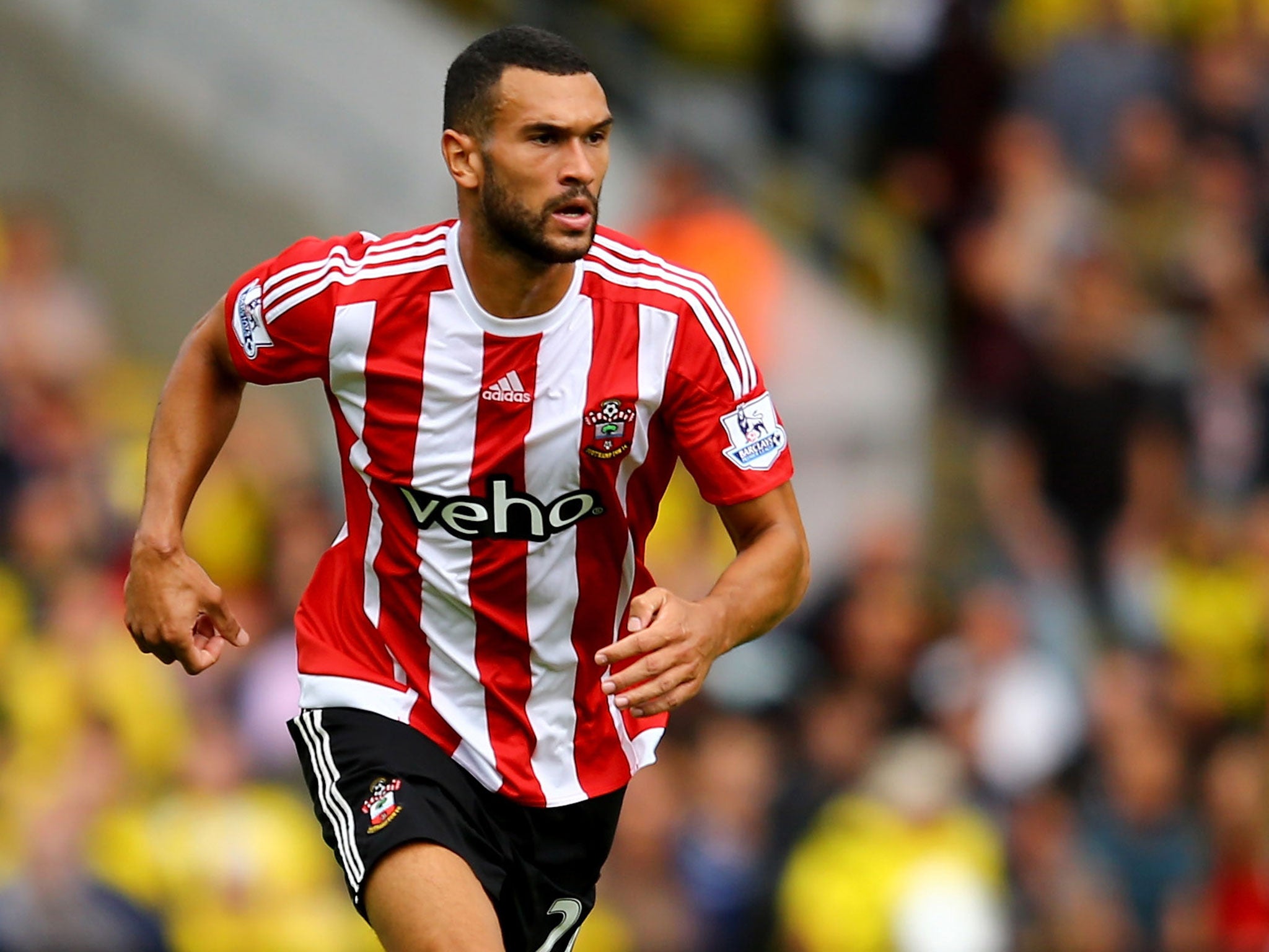 Steven Caulker has joined Liverpool on loan until the end of the season