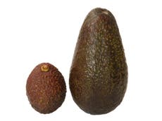Marks and Spencer to start selling mini avocados 