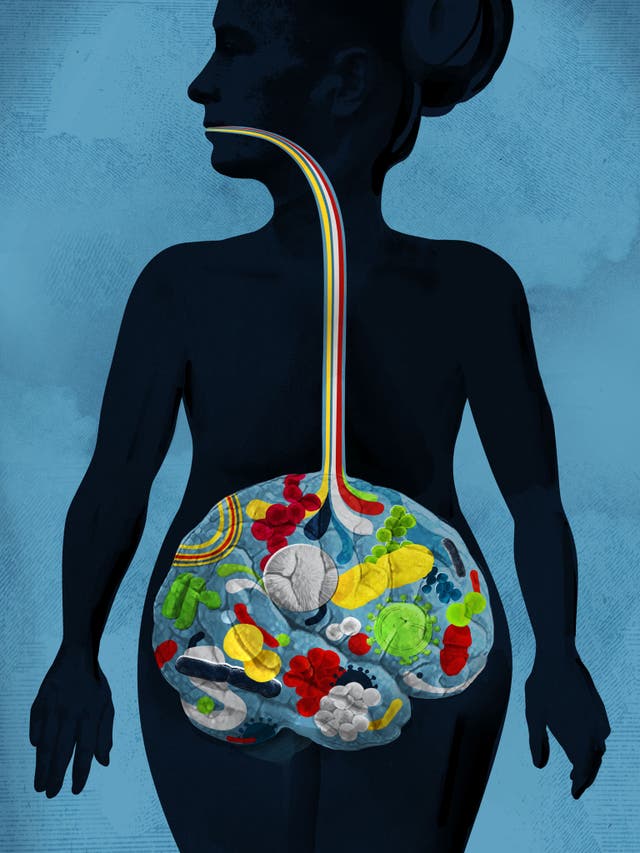 'We are in such a constant state of stress that our gut never gets the chance to do its job properly'
