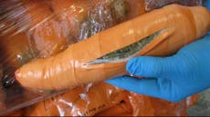 Marijuana worth $500k discovered inside shipment of fake carrots