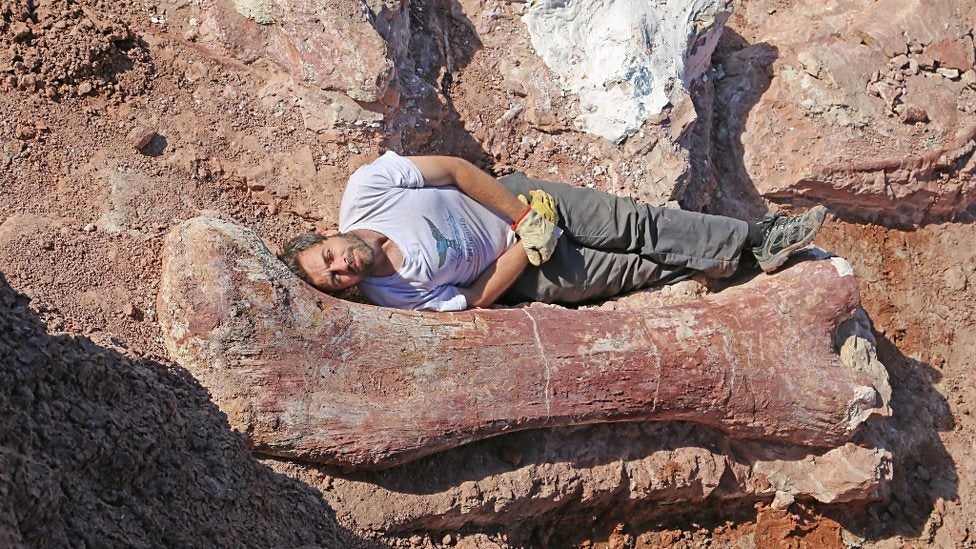 Dr Diego Pol is dwarfed by the dinosaur's thigh bone