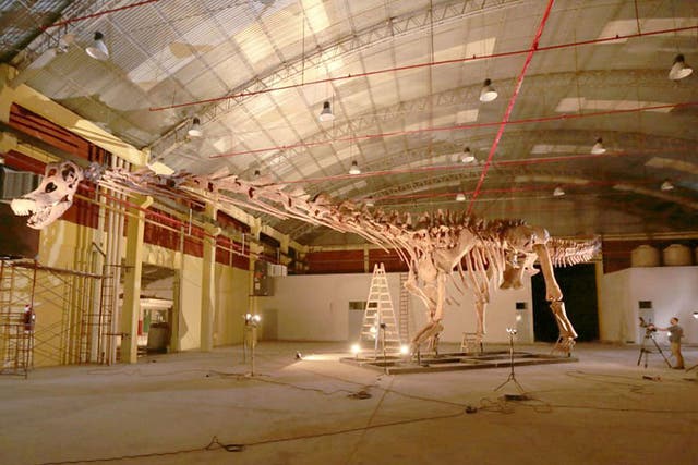 A model of the huge Titanosaur was recreated after the discovery