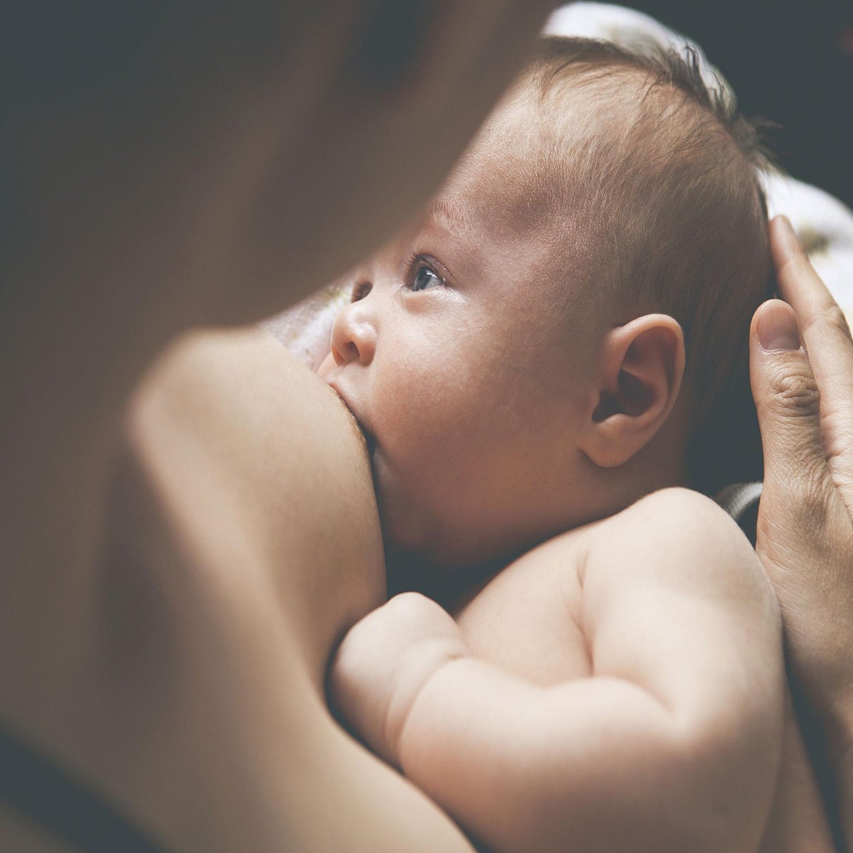 Breastfeeding doesn't make children more intelligent in the long term,  finds study, The Independent