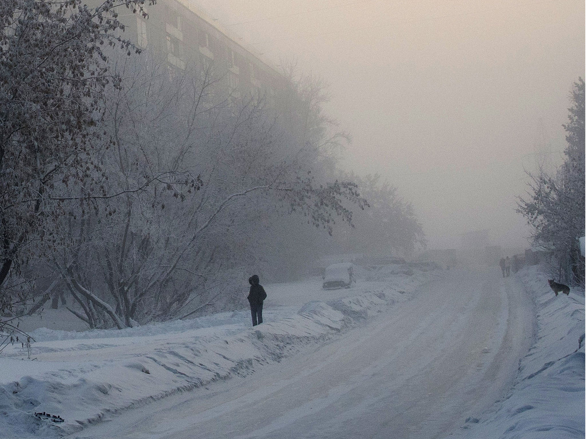 Temperatures in Siberia can plummet well below freezing