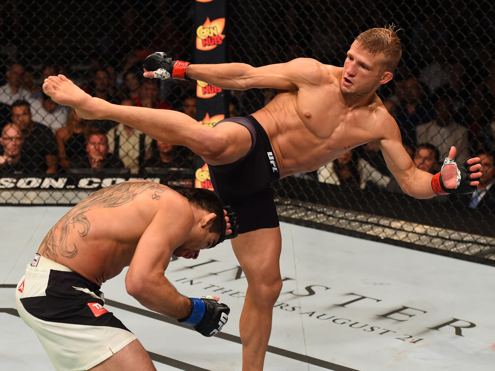 
TJ Dillashaw attepts to connect with a kick on Renan Barao (Jeff Bottari/ Zuffa-LLC) 