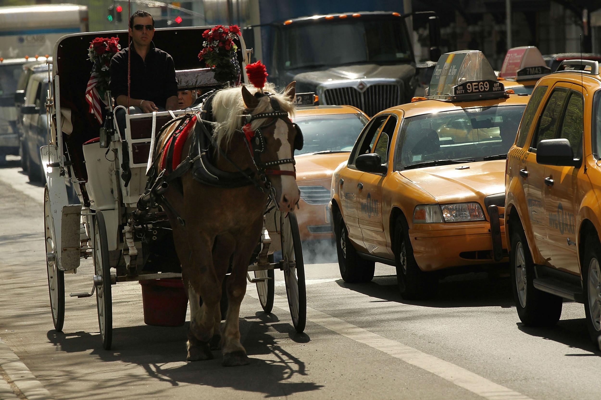 City Hall is closer to a deal to get horses off busy, polluted streets