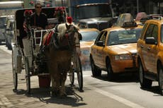New York City is closer to banning tourist horse rides off busy roads