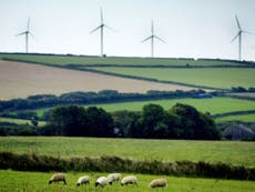 Britain's low-carbon economy is making £46bn a year