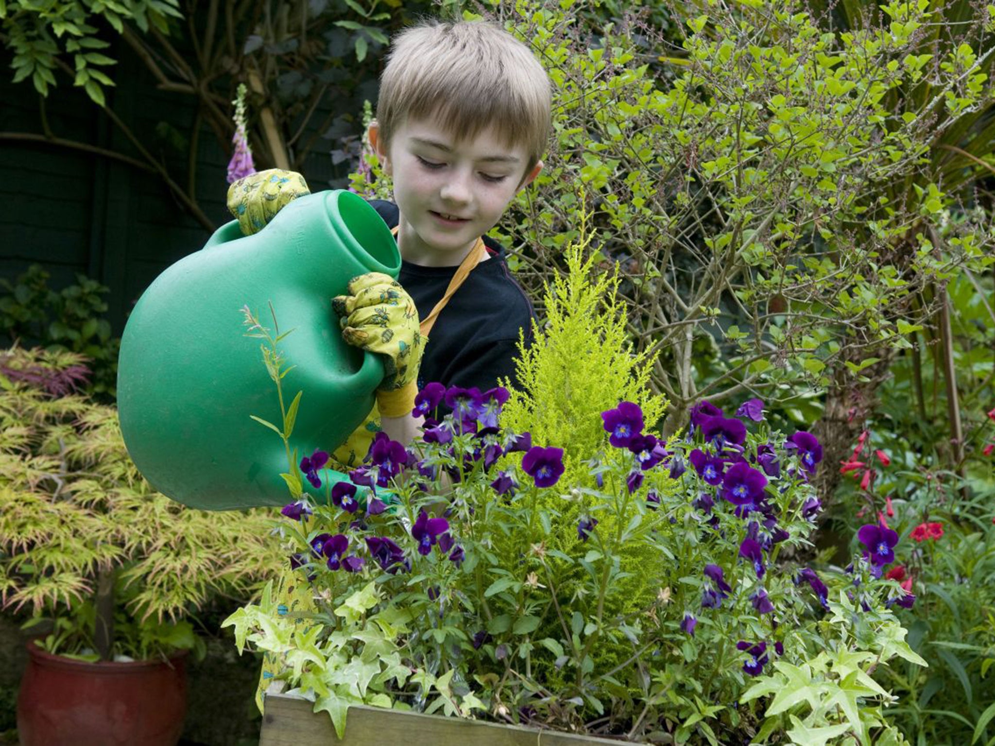 Shorten the working week and people will have the time to plant roses and pull-up weeds