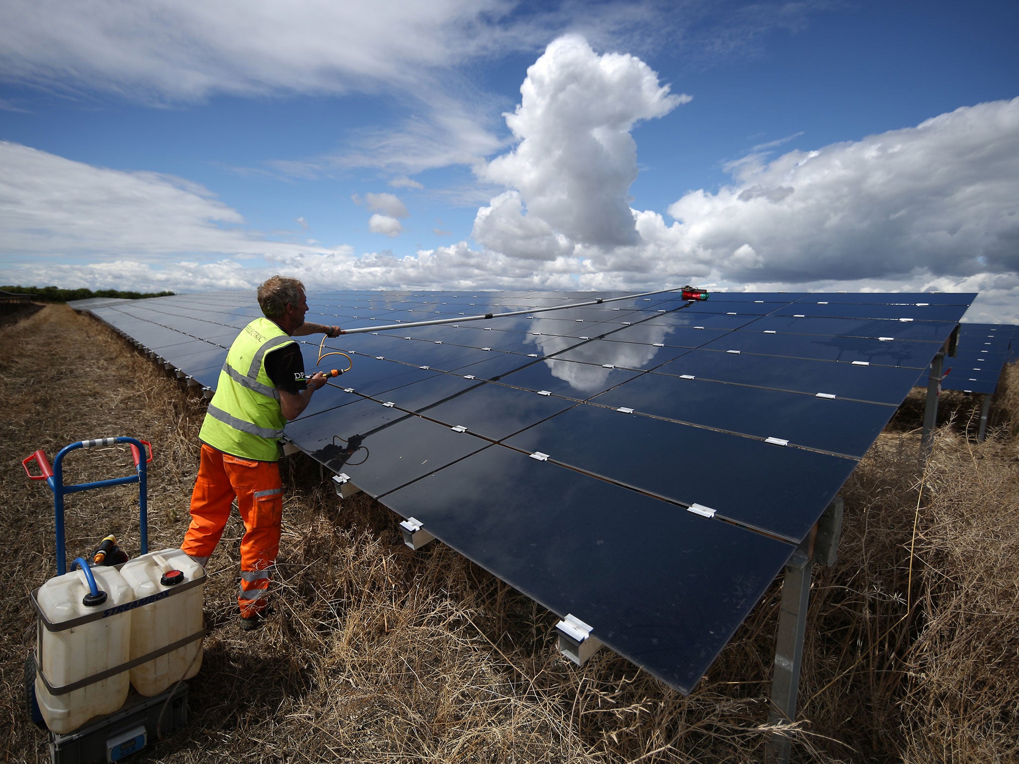 The Government cut its support for household solar panels by 65 per cent