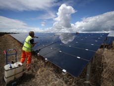 Read more

Britain's renewable energy industry is about to 'fall off a cliff'