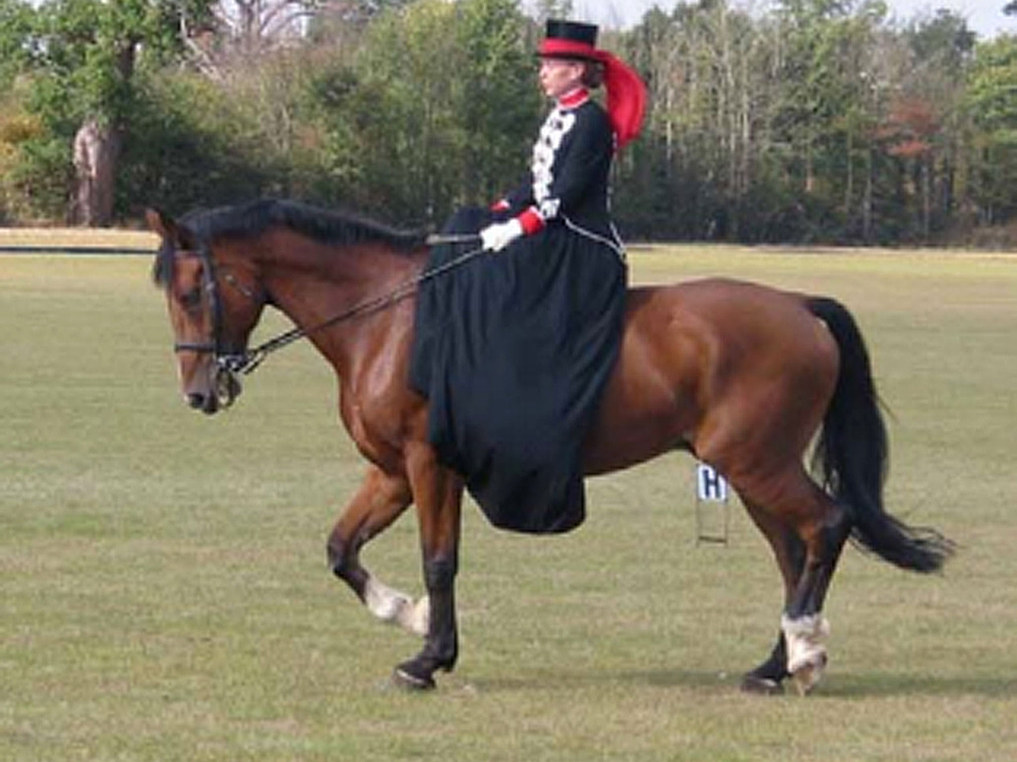 Sadie Hartley, 60, a keen horsewoman