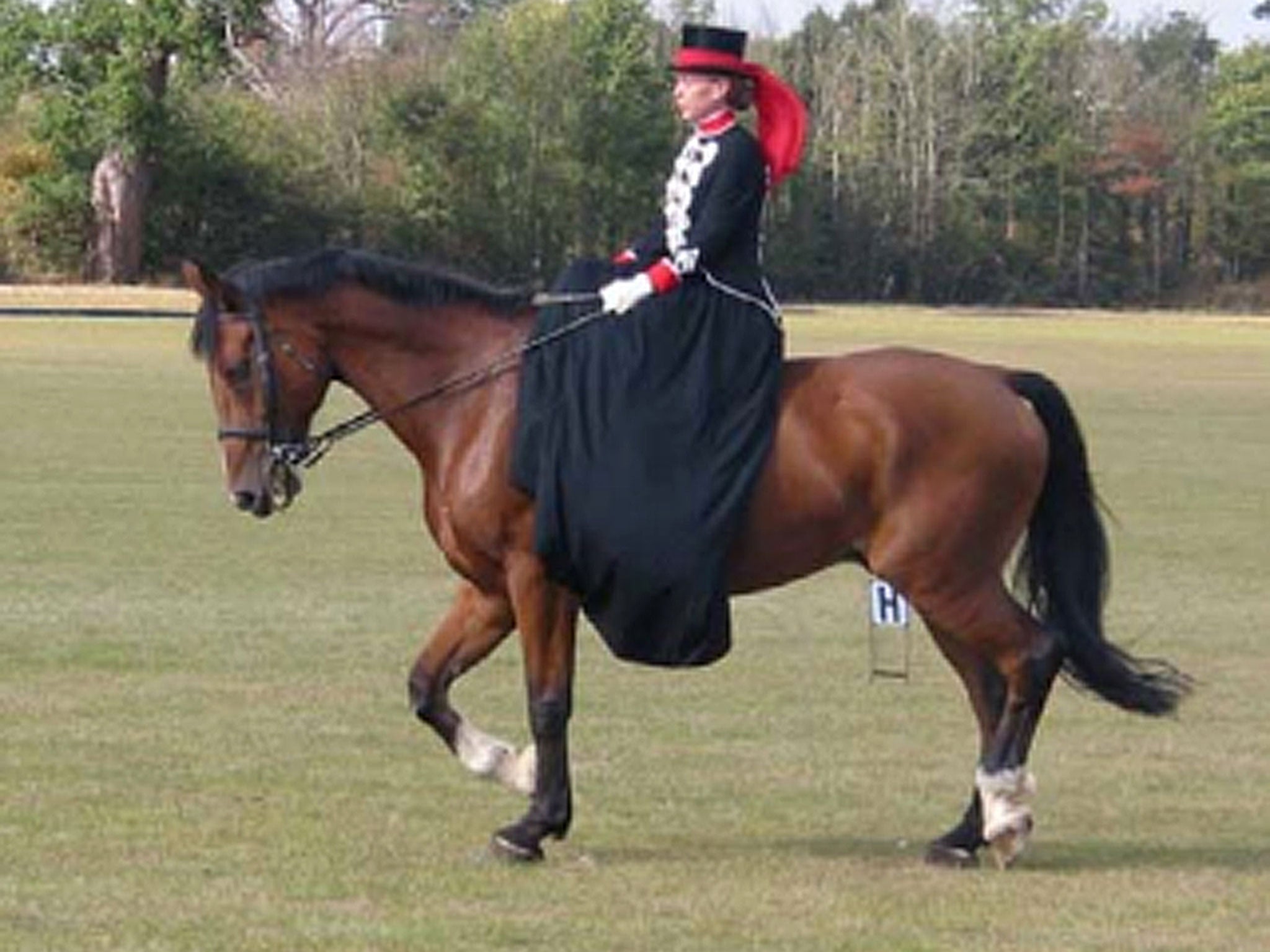 Sadie Hartley, 60, a keen horsewoman, was found stabbed to death at her home in Lancashire