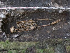 Read more

1,500-year-old skeleton with prosthetic foot found in Austria