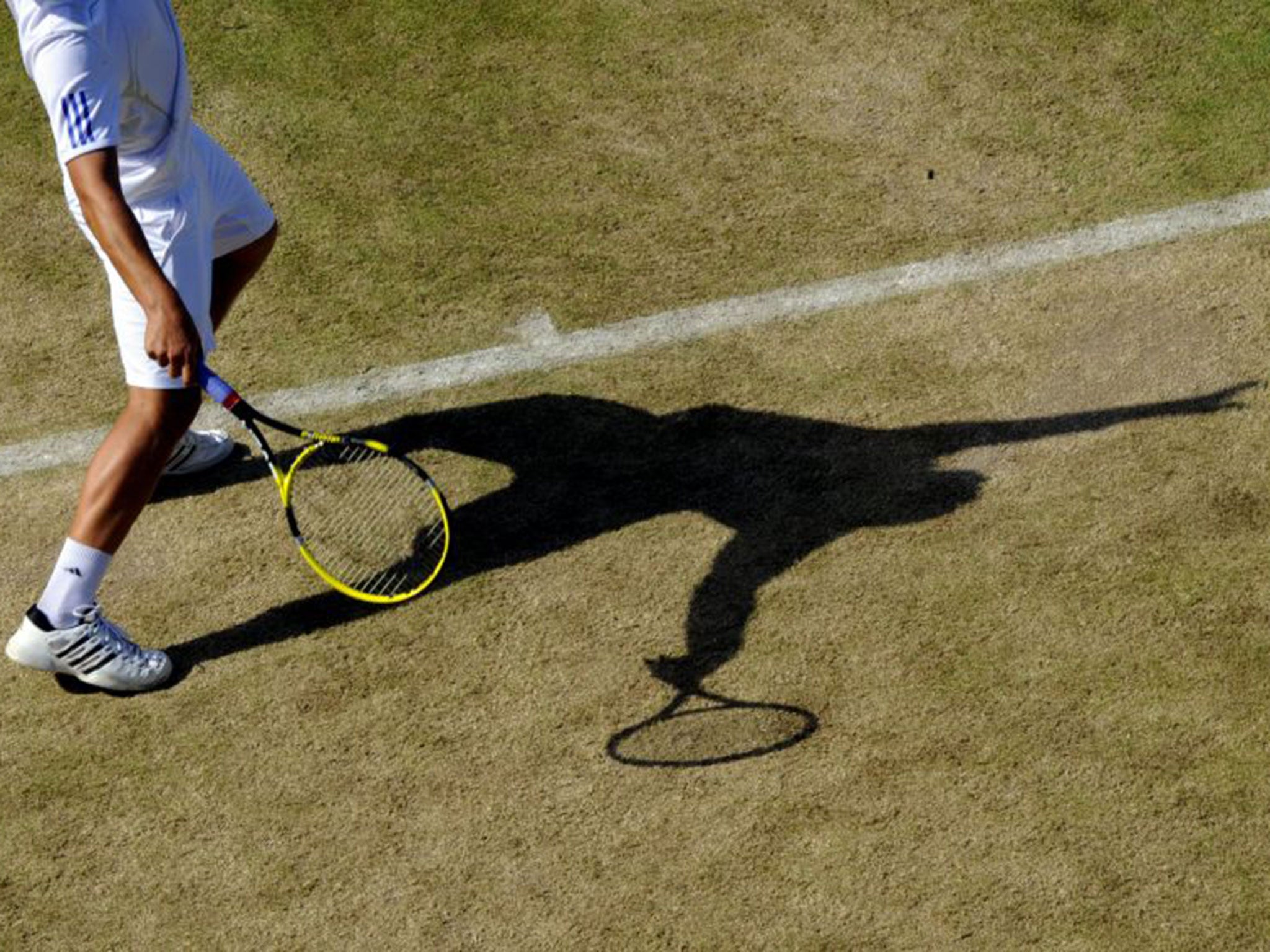 Secret files have been revealed which allegedly contain evidence of widespread match fixing at the top levels of world tennis