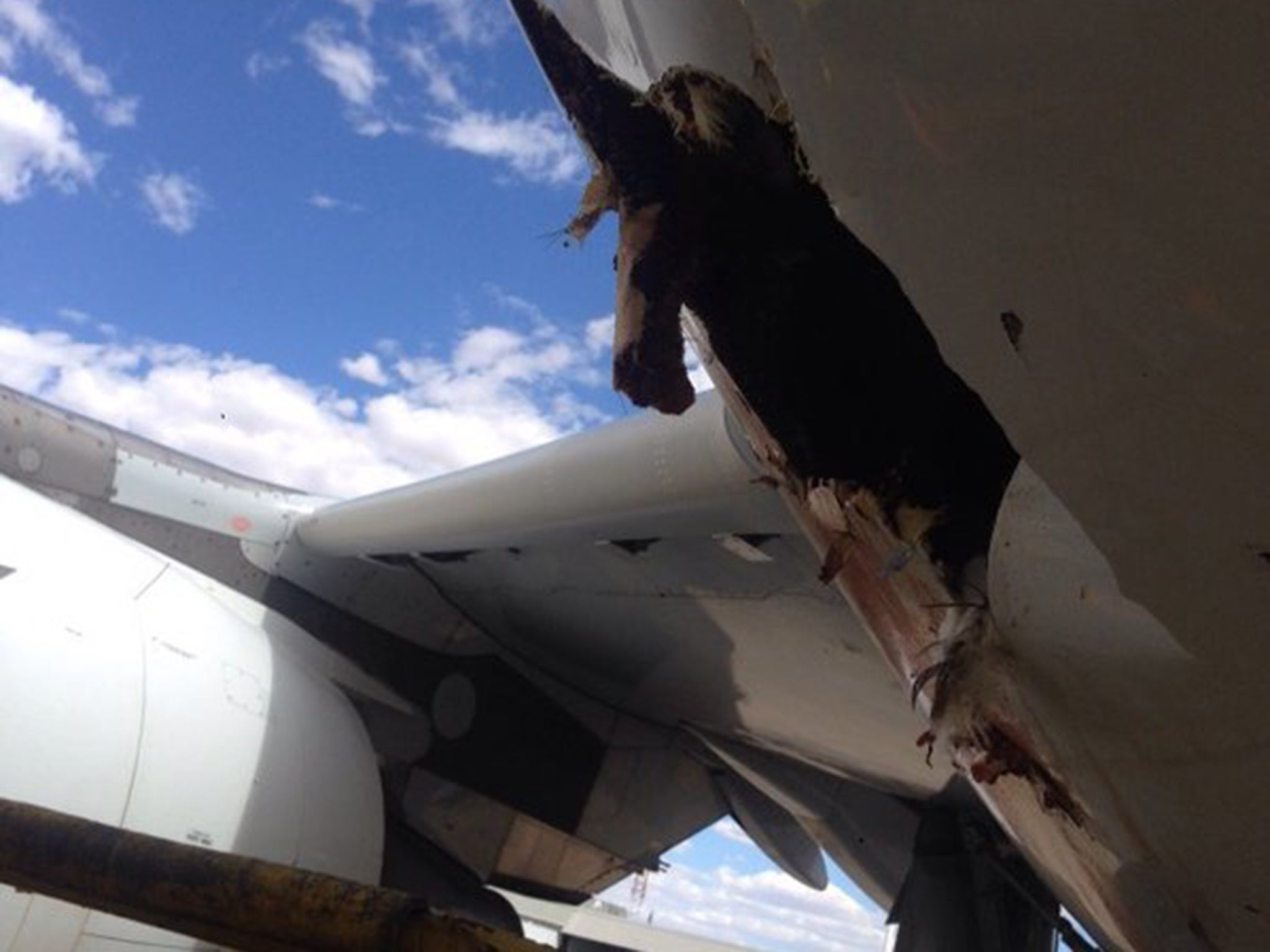 Passengers saw the damage to the aircraft after it landed