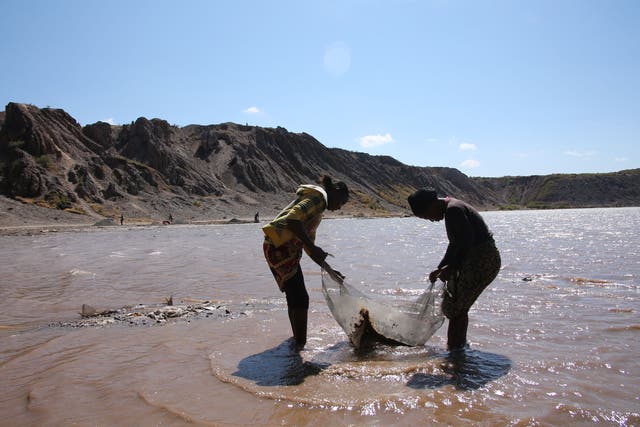 Women wash mineral ore in Lake Malo, Kapata on the outskirts of Kolwezi,DRC. One woman told researchers that it was very difficult working long daysfrom 6am until 6pm in the sun with no cover and no shade, May 2015