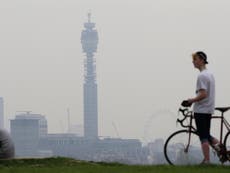 Air pollution is now a global 'public health emergency', says the WHO