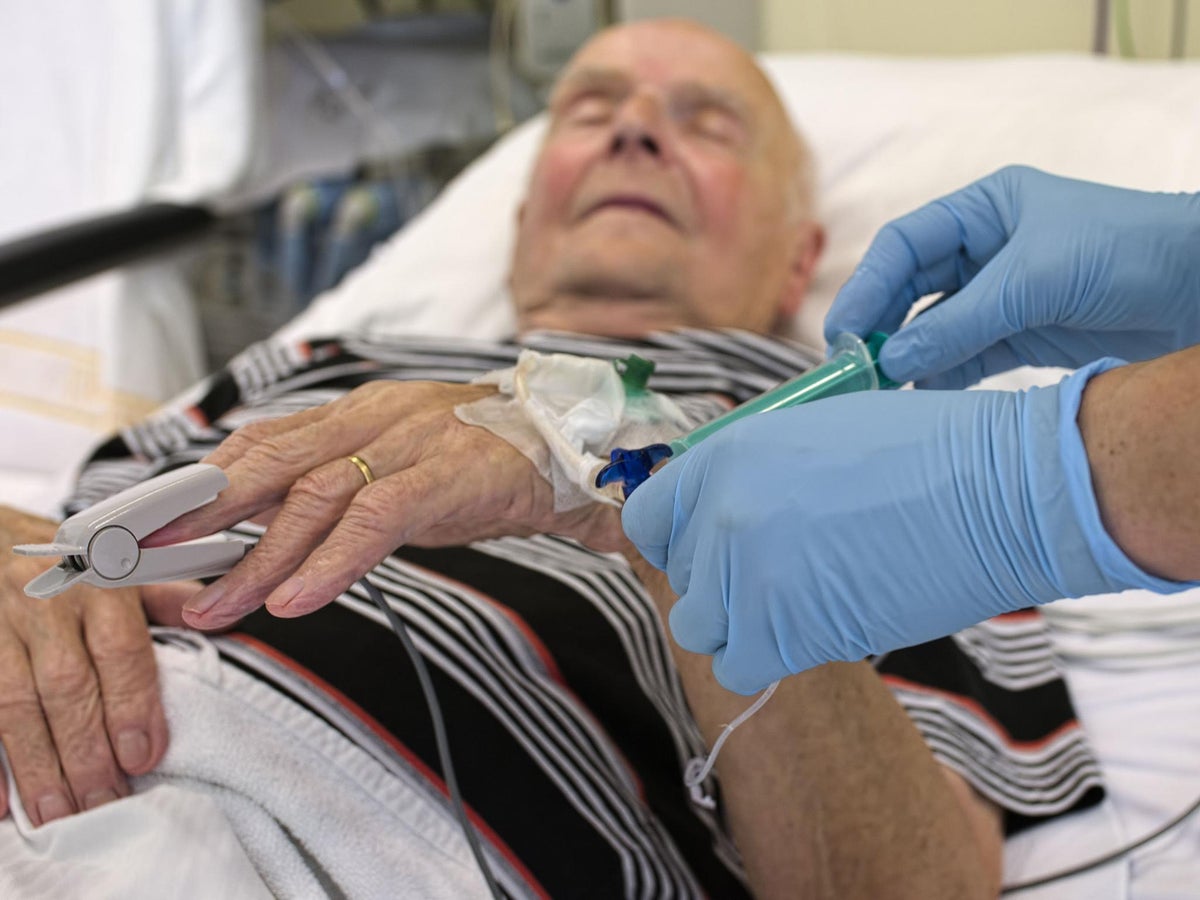 Obese Patients Twice As Likely To Survive After Being Admitted To Hospital With Infection The Independent The Independent